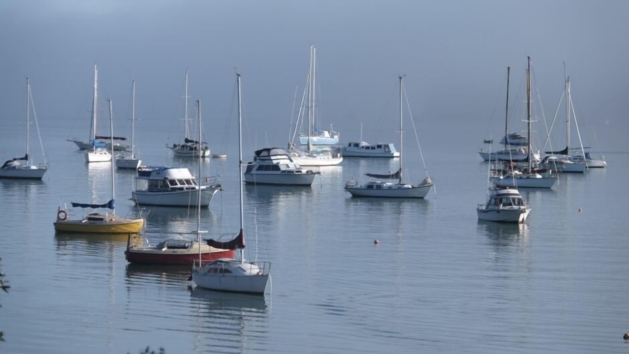 Photo of Others in Opua