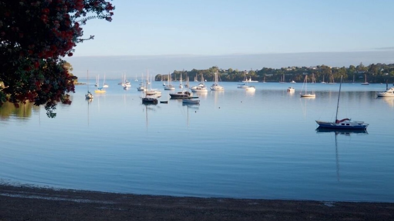 Photo of Others in Opua