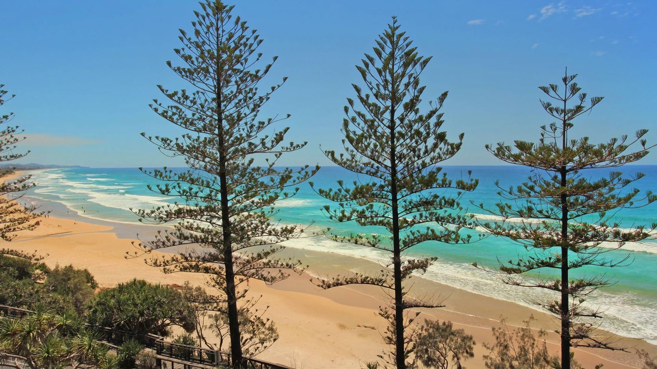 Photo of Others in Coolum Beach