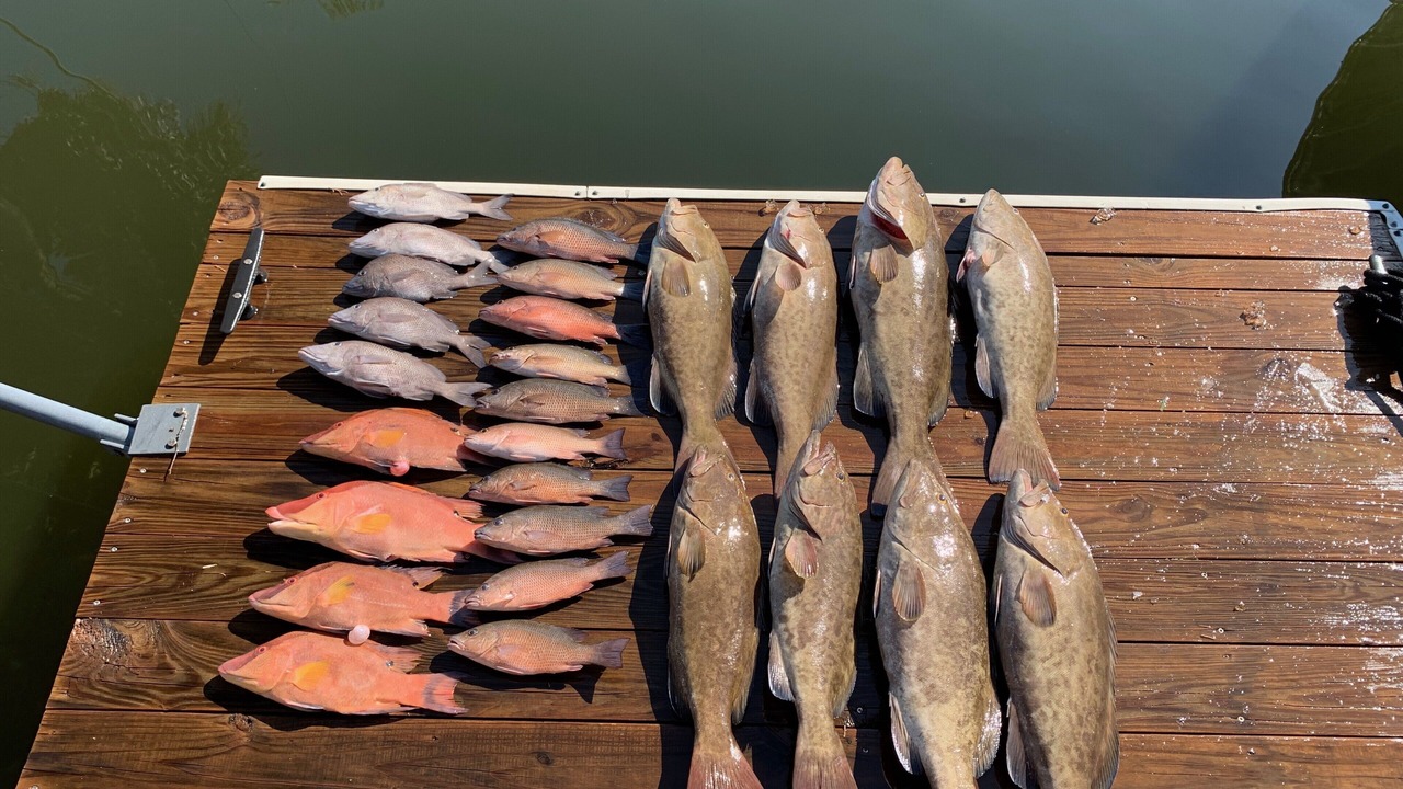 Photo of Others in Indian Waters