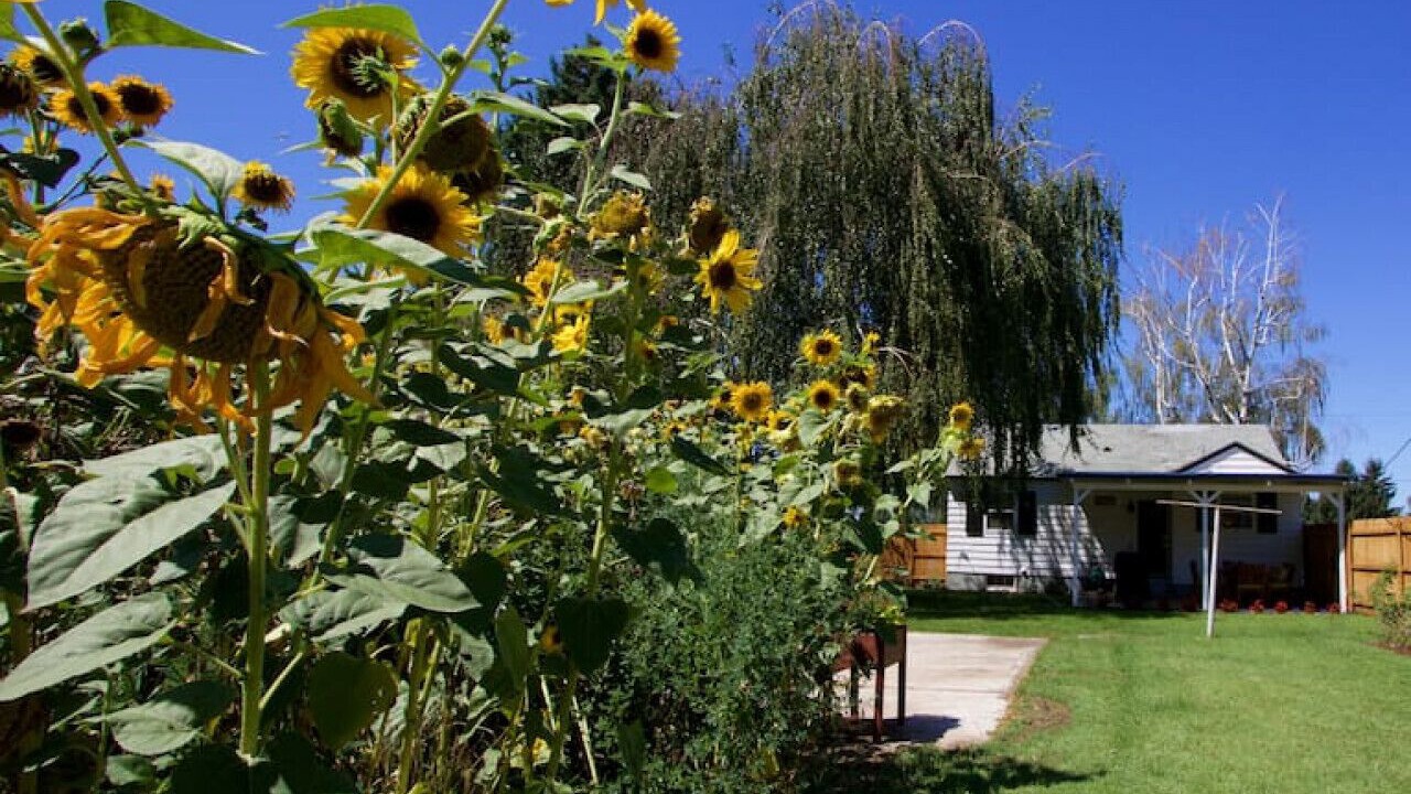 Photo of Outdoor in Walla Walla East