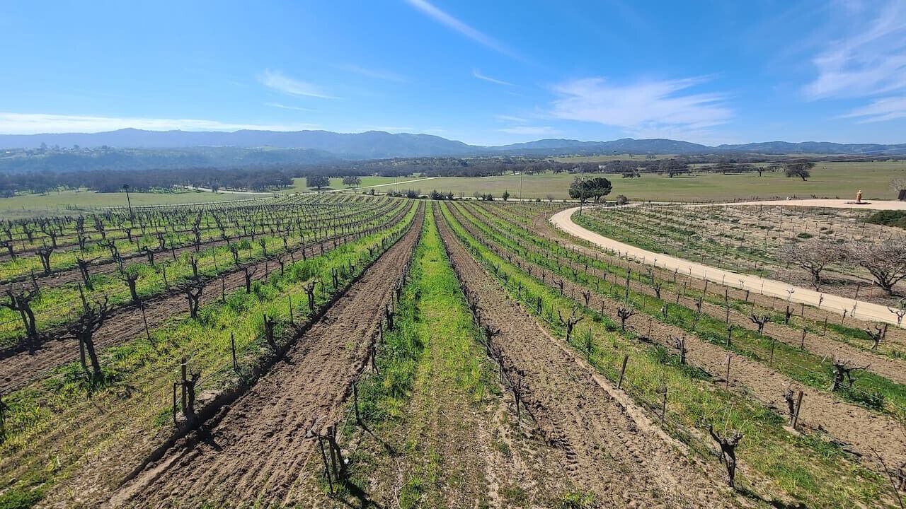 Photo of Others in Paso Robles