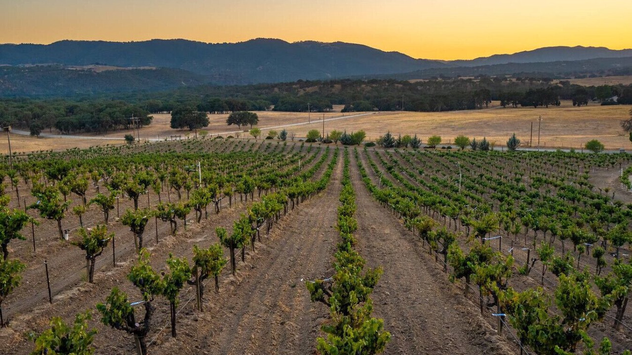 Photo of Others in Paso Robles