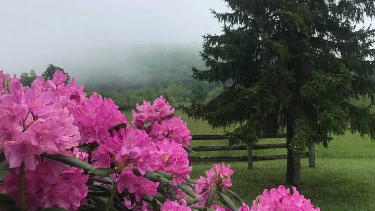 Photo of Outdoor in Burks Fork