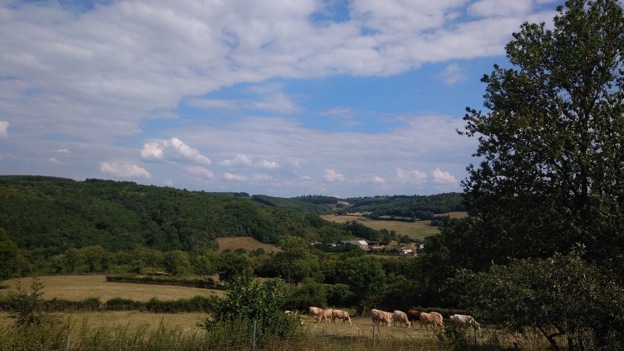 Photo of Outdoor in Villiers-en-Morvan