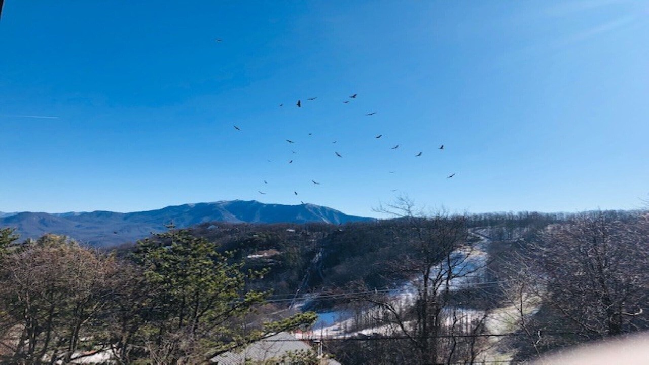 Photo of Others in Chalet Village