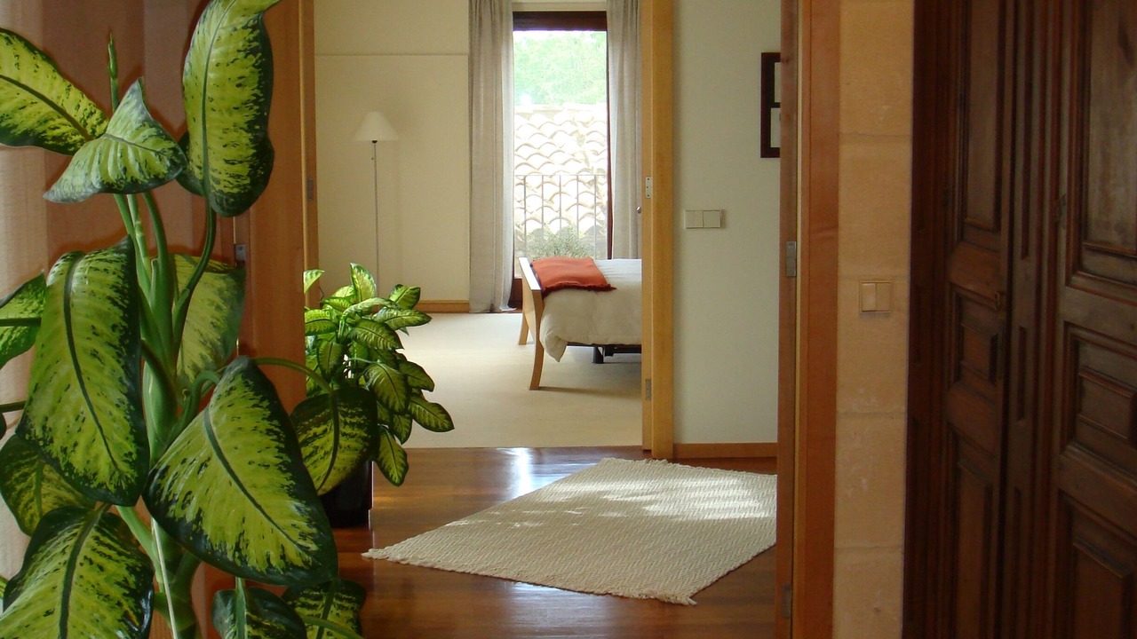 Photo of Bedroom in Sant Gregori