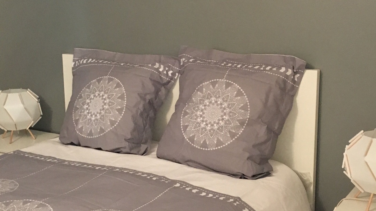 Photo of Bedroom in Saint-Martin-d'Heres