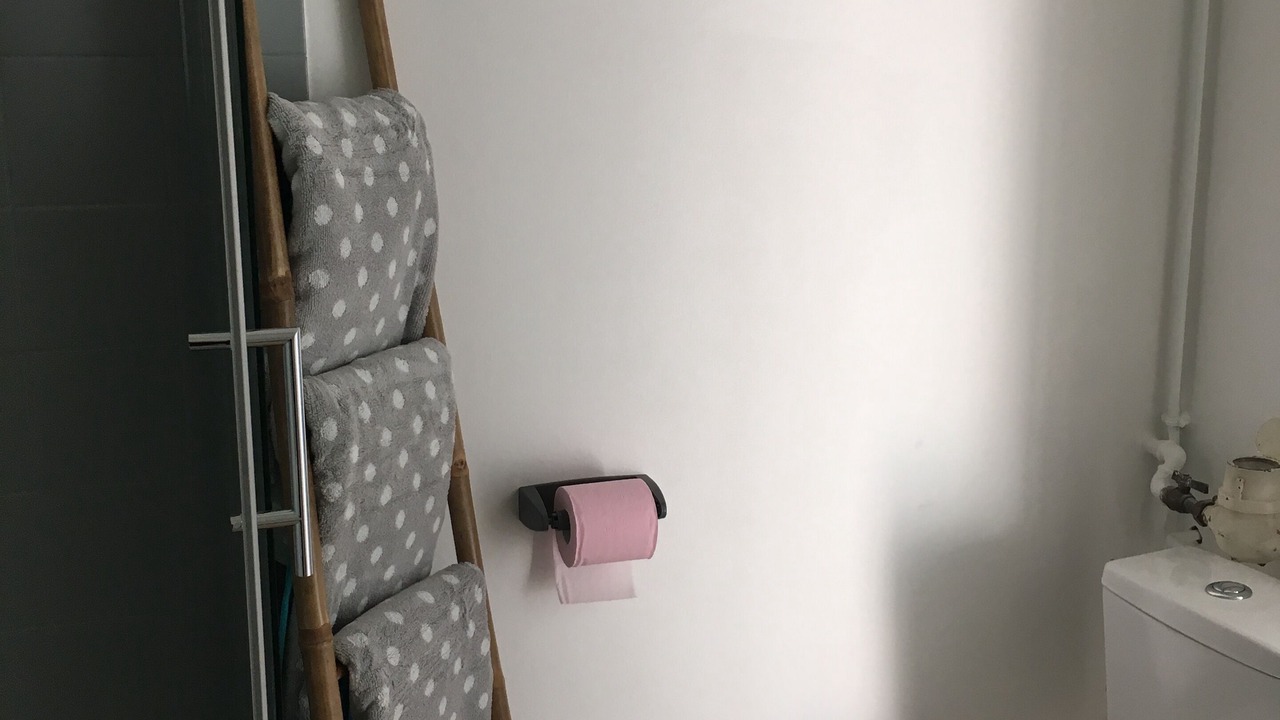 Photo of Bathroom in Saint-Martin-d'Heres