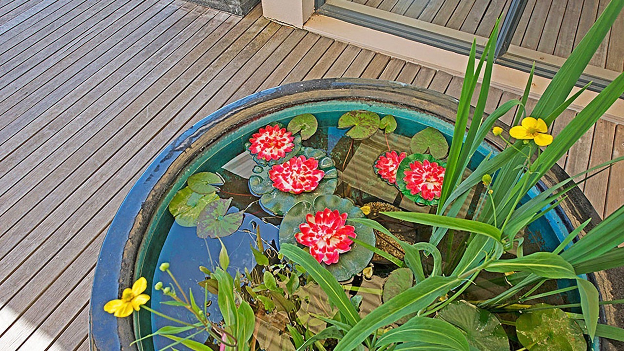 Photo of Outdoor in Sorrento