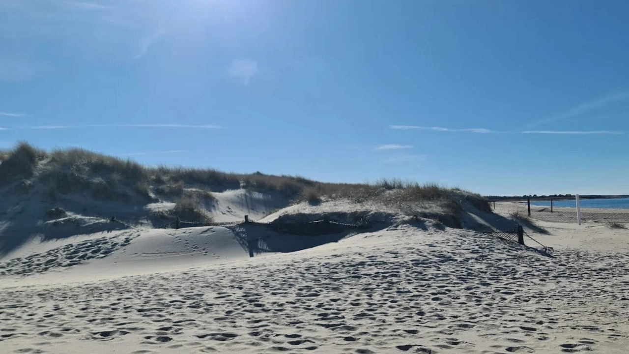 Photo of Others in Læsø