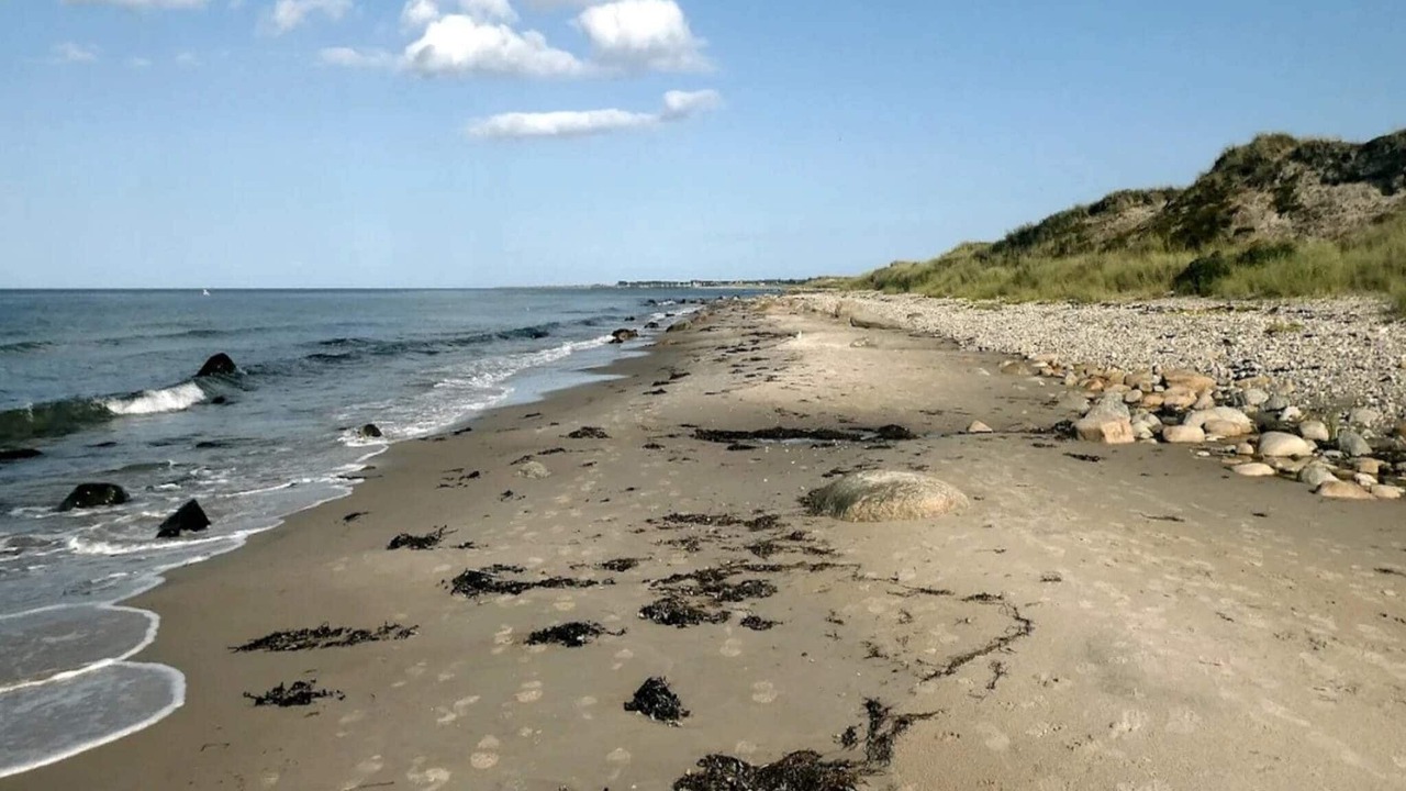 Photo of Others in Læsø