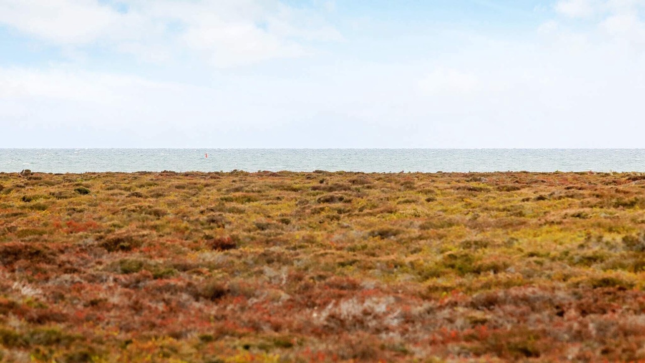 Photo of Others in Læsø