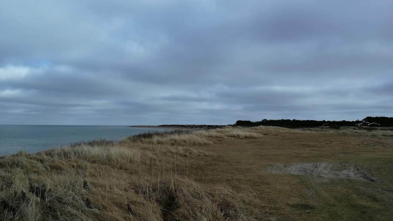 Photo of Others in Læsø