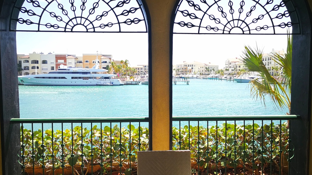 Photo of Others in Cap Cana Marina