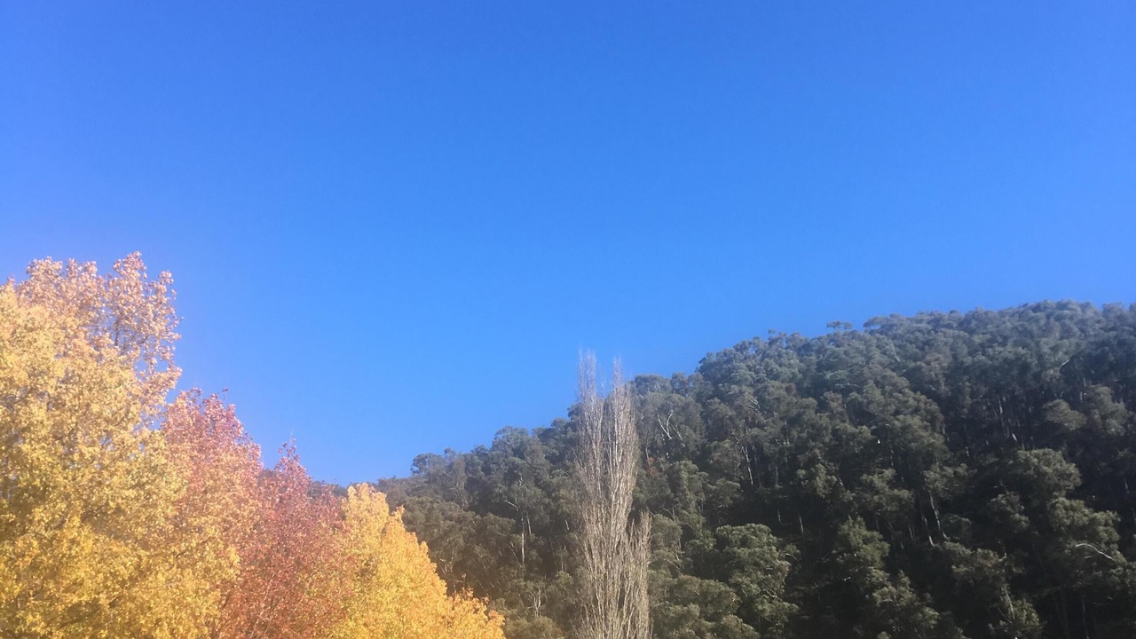 Photo of Outdoor in Freeburgh