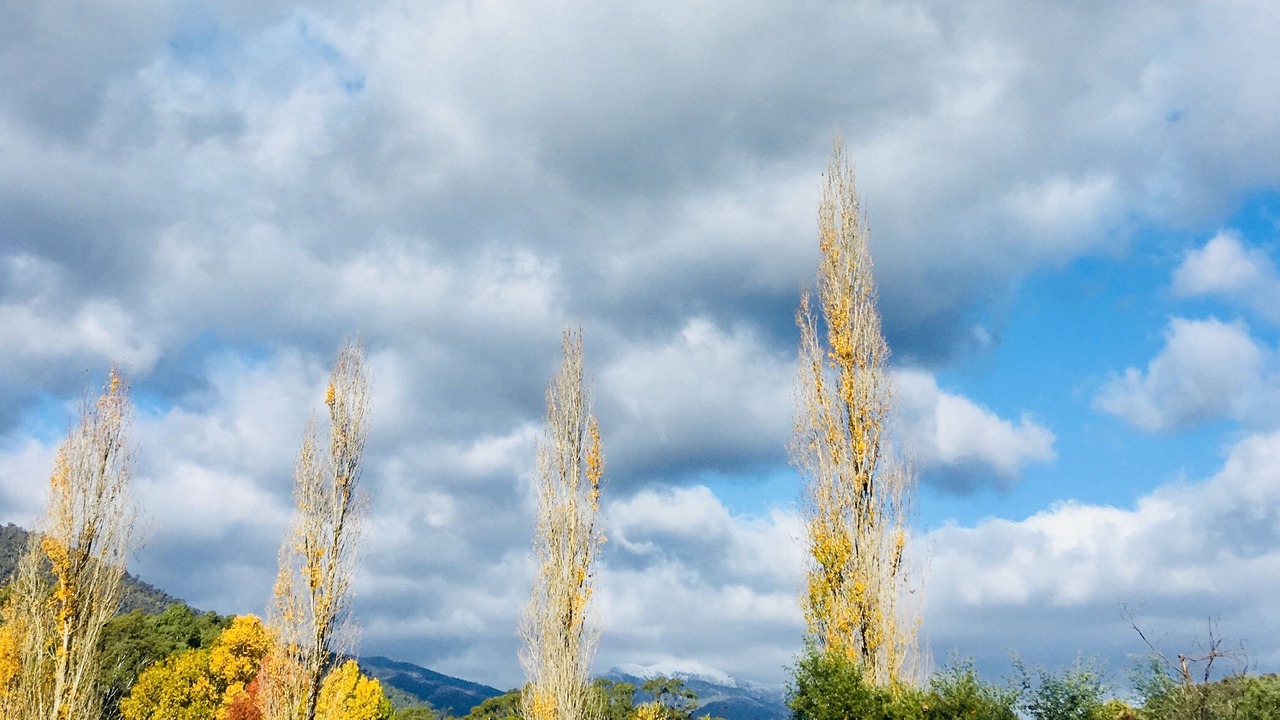 Photo of Others in Freeburgh