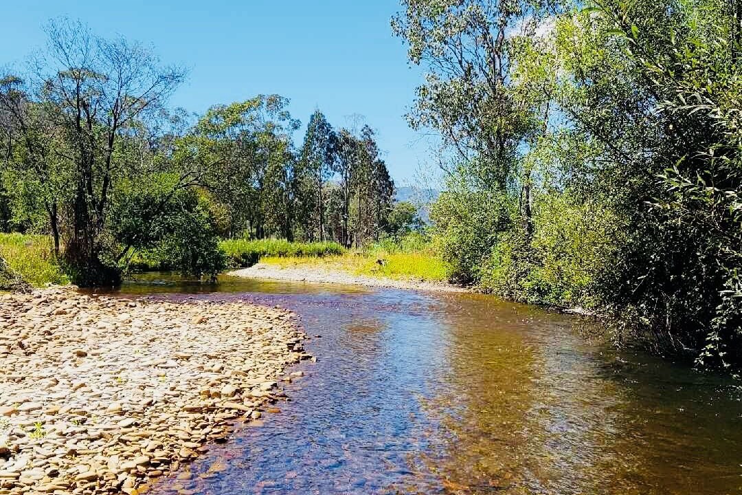 Photo of Others in Freeburgh