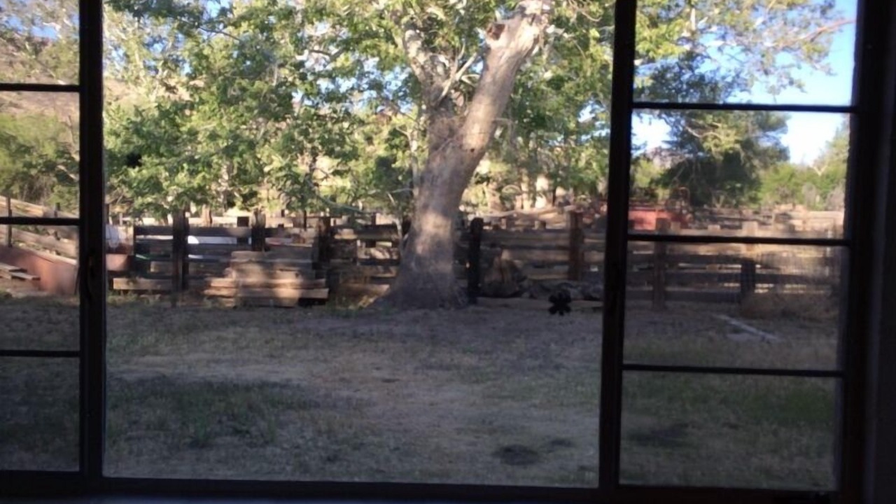 Photo of Others in Cochise County