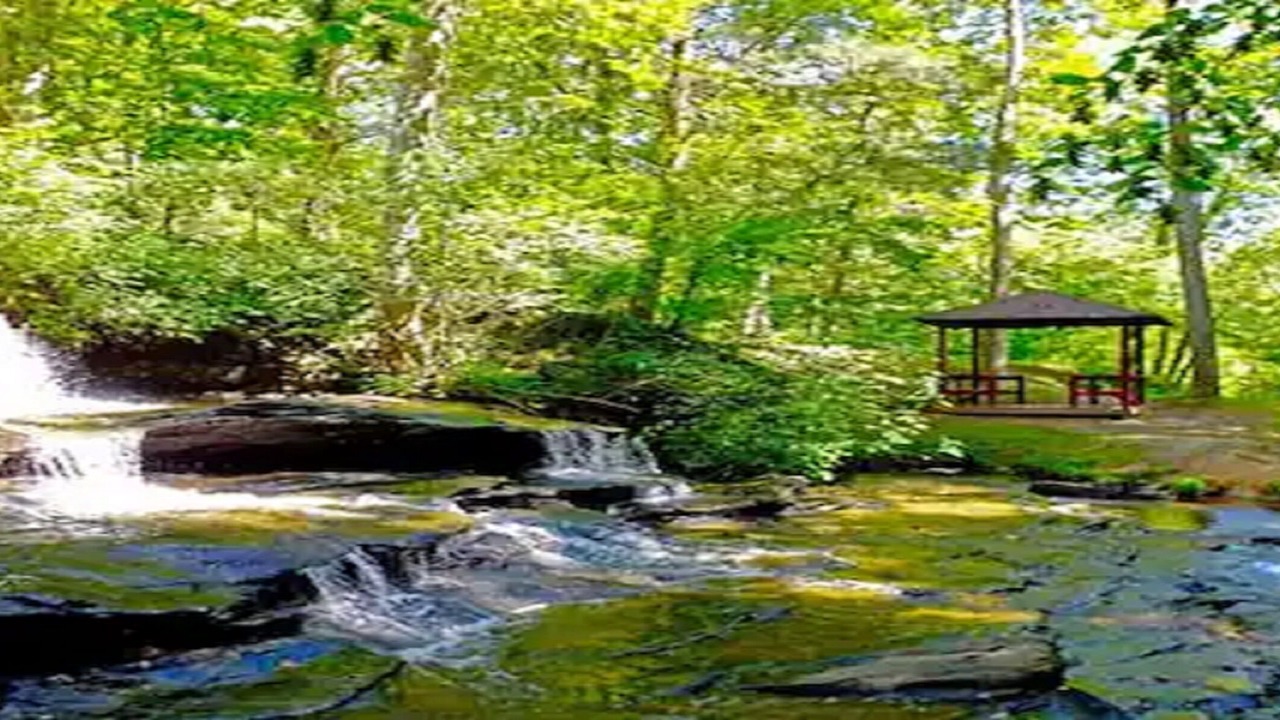 Photo of Others in Lake Lure