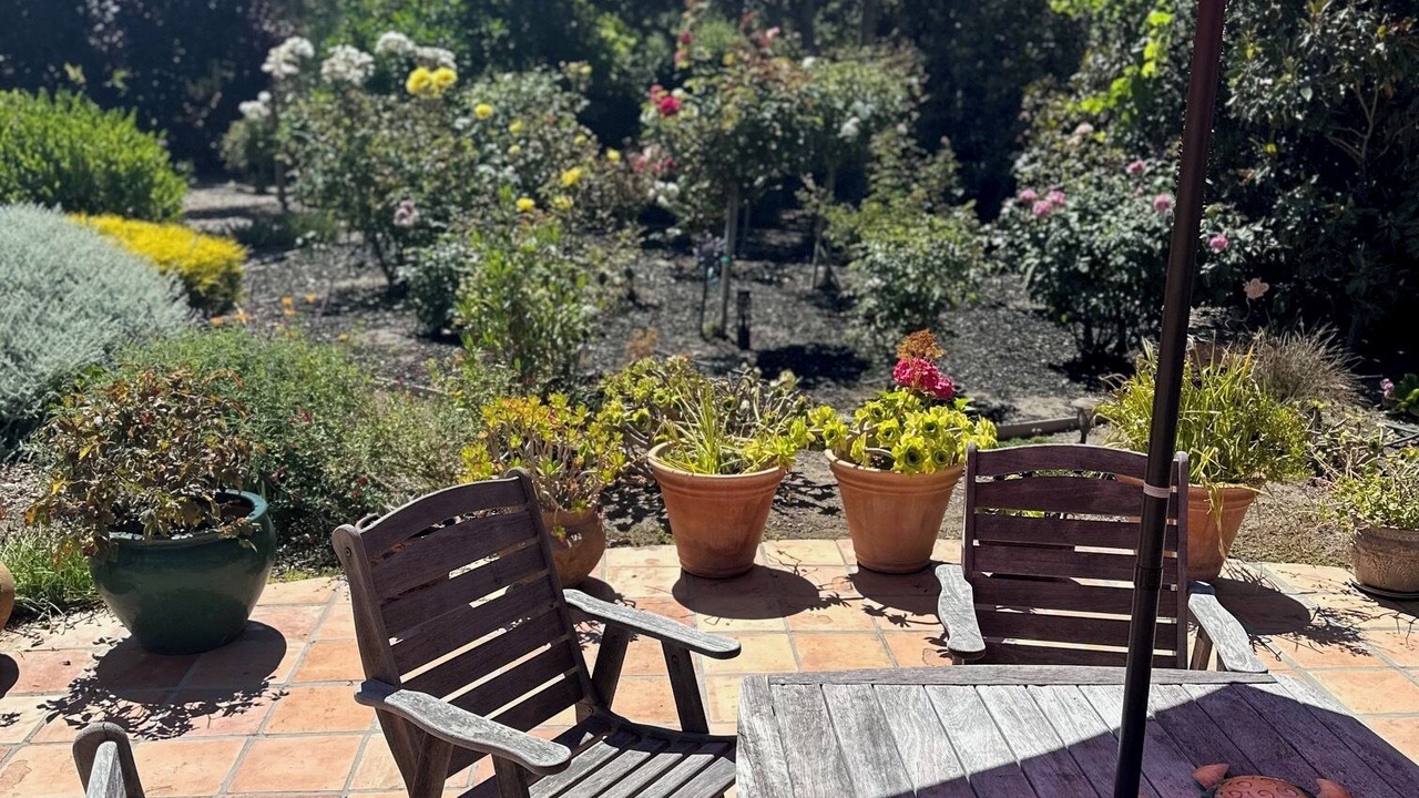 Photo of Outdoor in Carmel