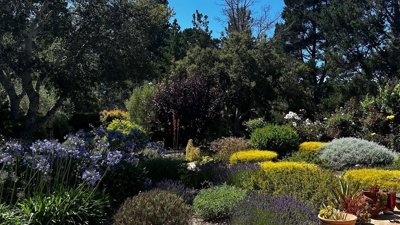 Photo of Outdoor in Carmel