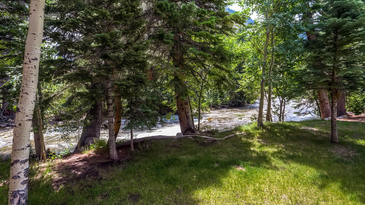 Photo of Outdoor in Frisco