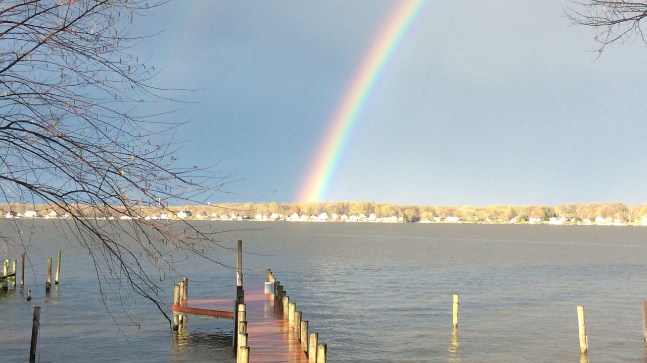 Photo of Others in Dundalk