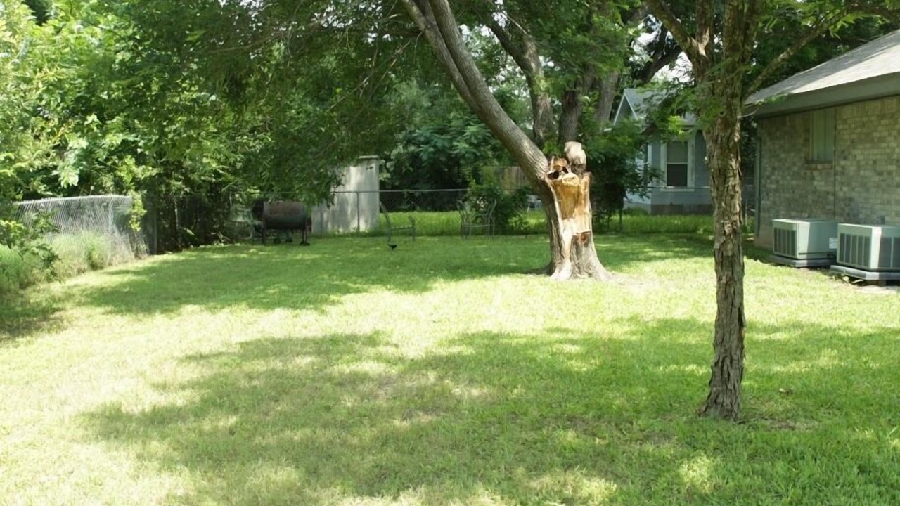 Photo of Others in Pecan Springs Springdale