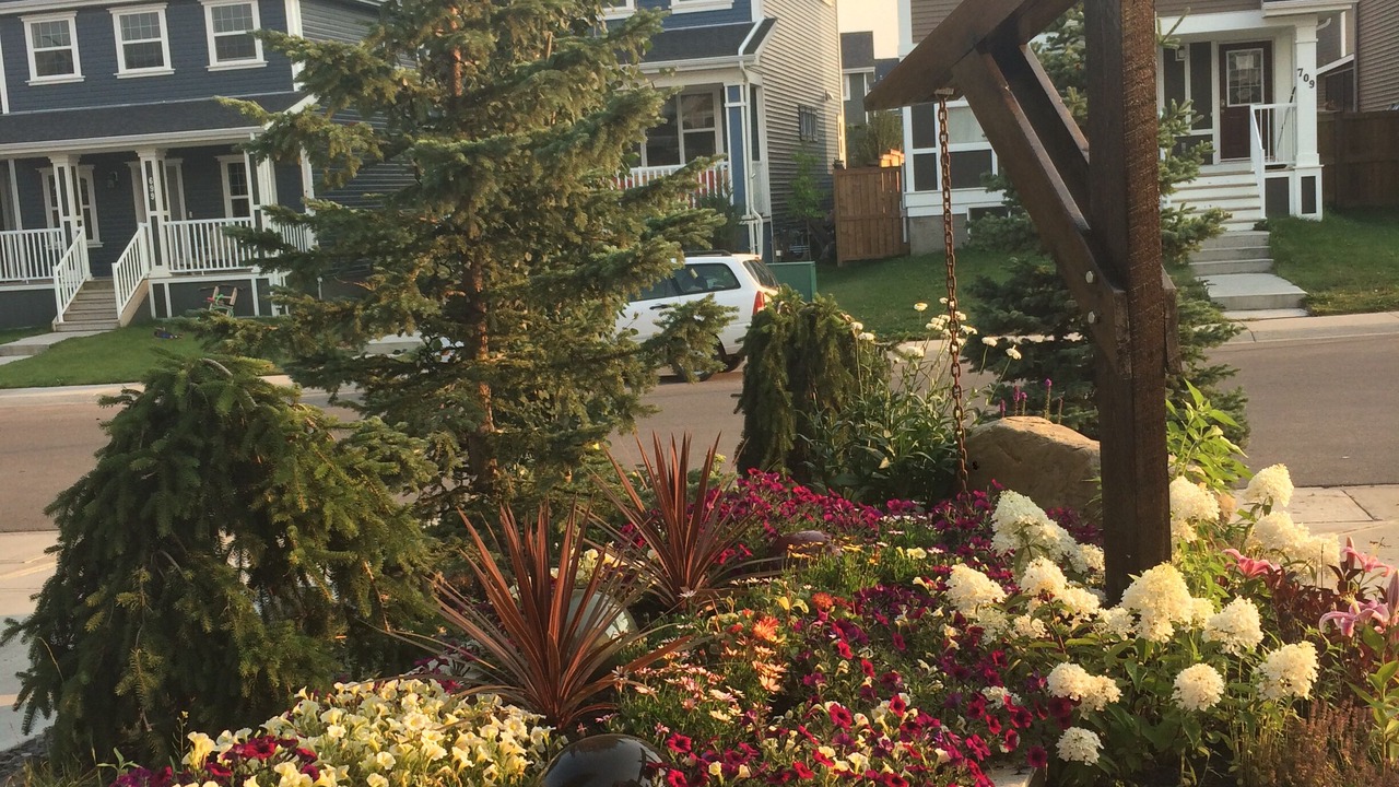 Photo of Outdoor in Cochrane