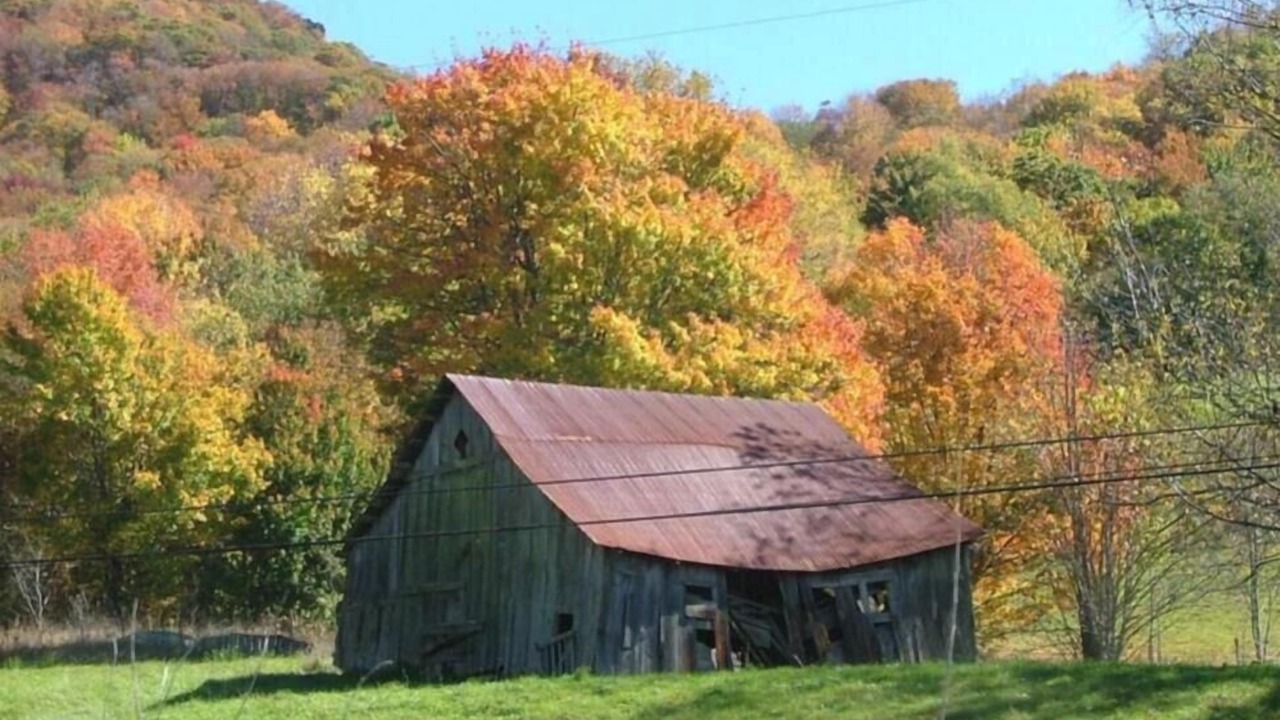 Photo of Outdoor in Banner Elk