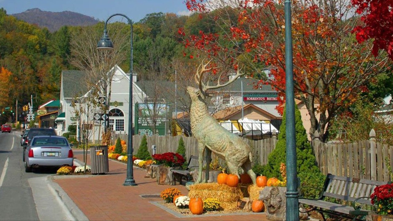 Photo of Others in Banner Elk