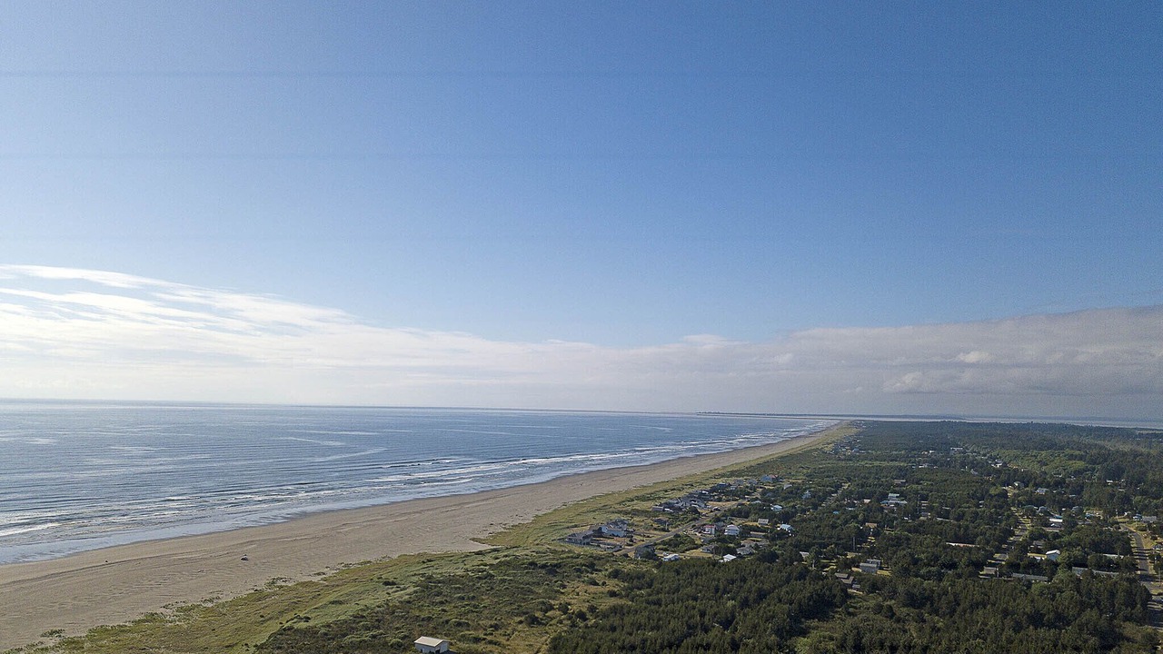 Photo of Others in Grayland