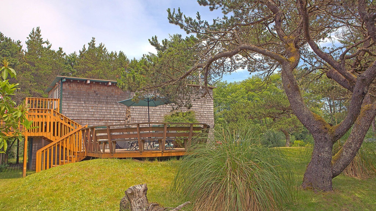 Photo of Outdoor in Grayland