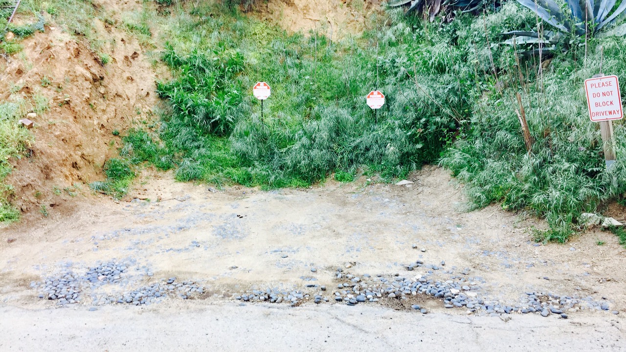 Photo of Outdoor in Hollywood Hills West