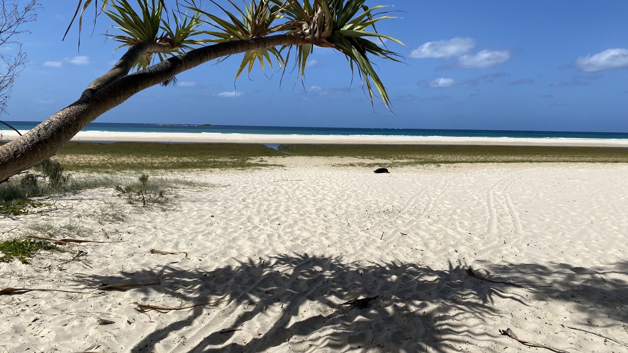 Photo of Others in Point Lookout