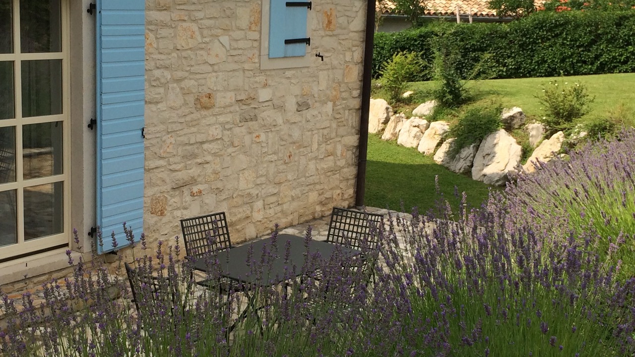 Photo of Outdoor in Buzet