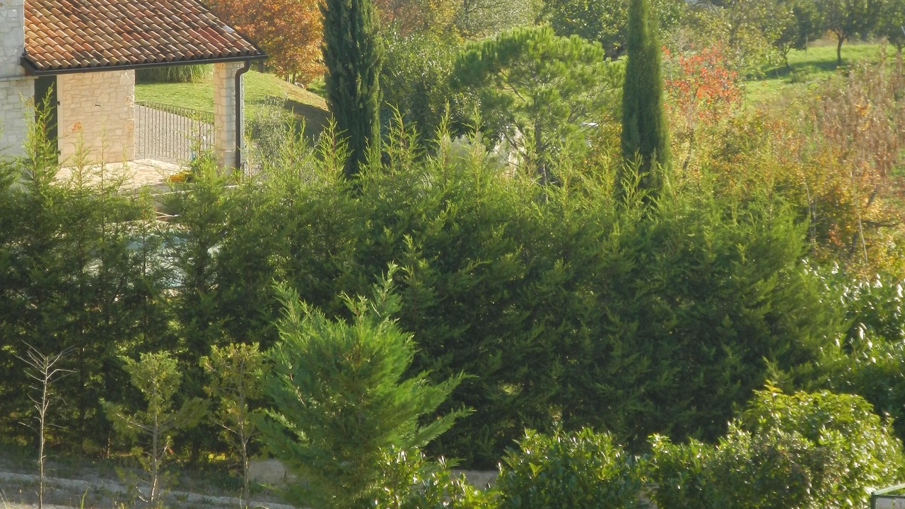 Photo of Outdoor in Buzet