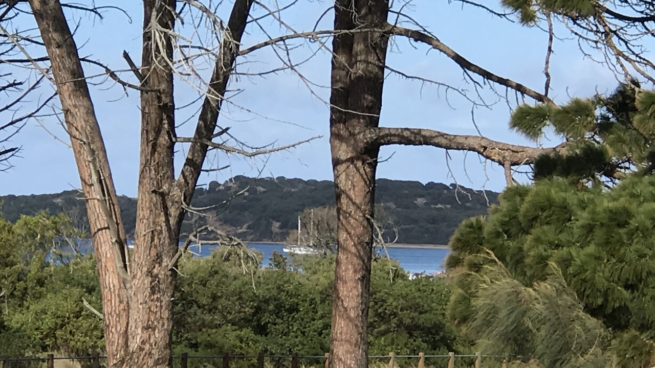 Photo of Others in Cape Woolamai