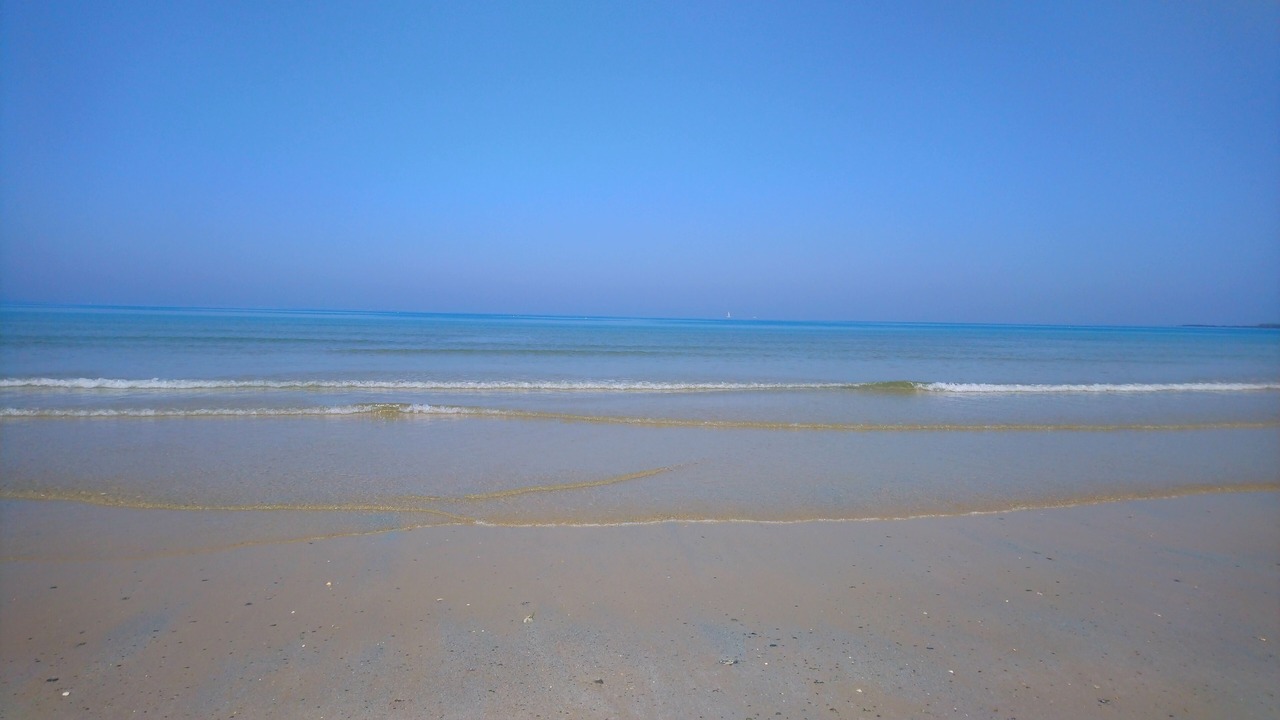 Photo of Others in Surtainville