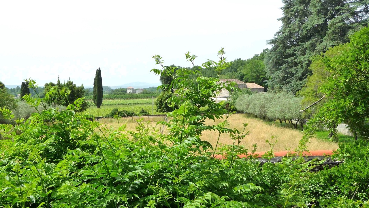 Photo of Outdoor in Saint Alban Auriolles