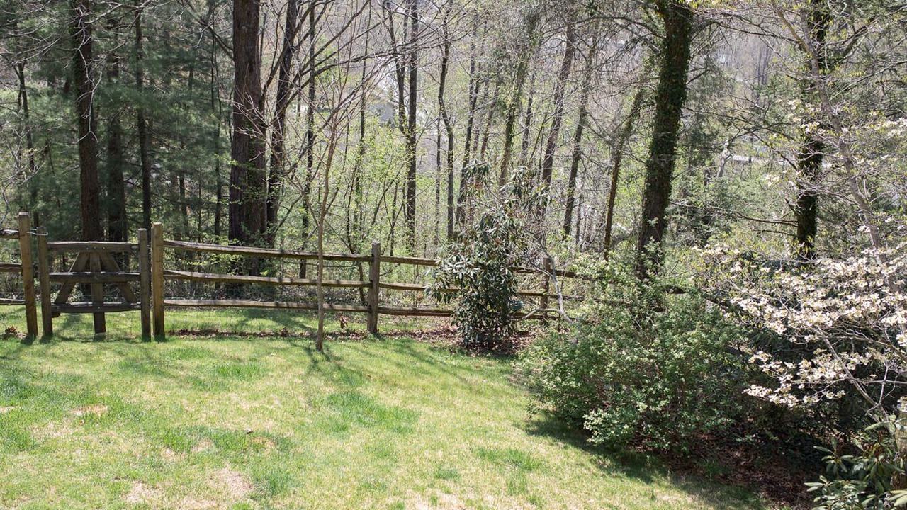 Photo of Others in Weaverville