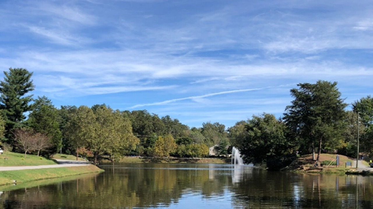 Photo of Outdoor in Weaverville