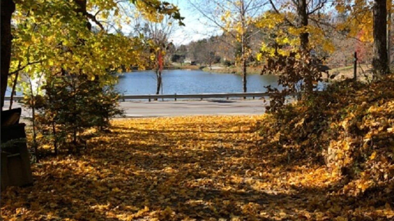 Photo of Outdoor in Weaverville