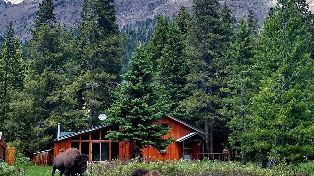 Photo of Others in Cooke City-Silver Gate