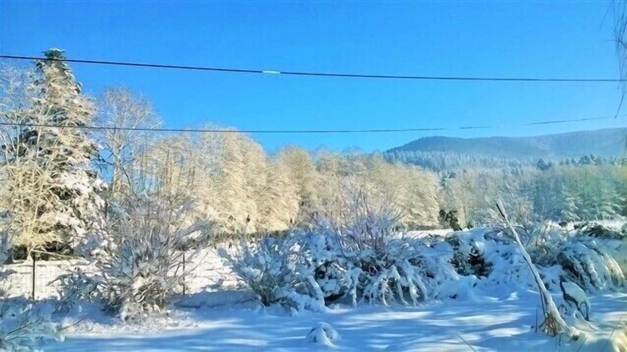 Photo of Others in Sapois