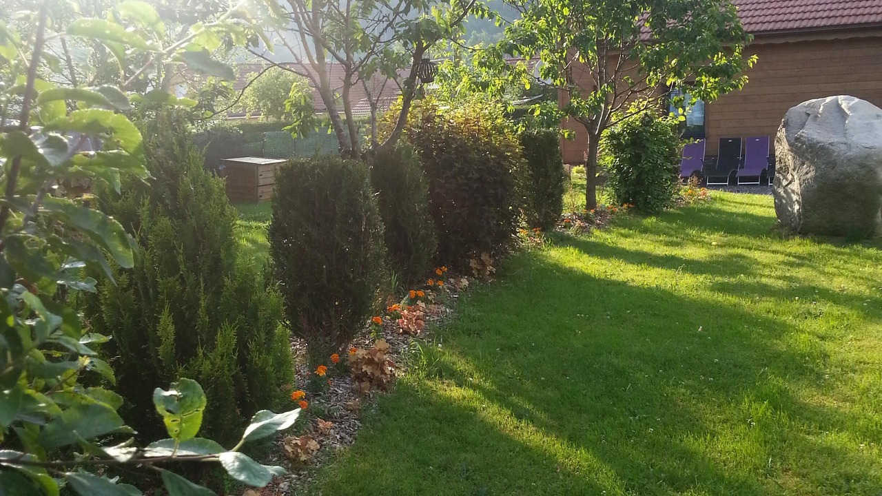 Photo of Outdoor in Sapois