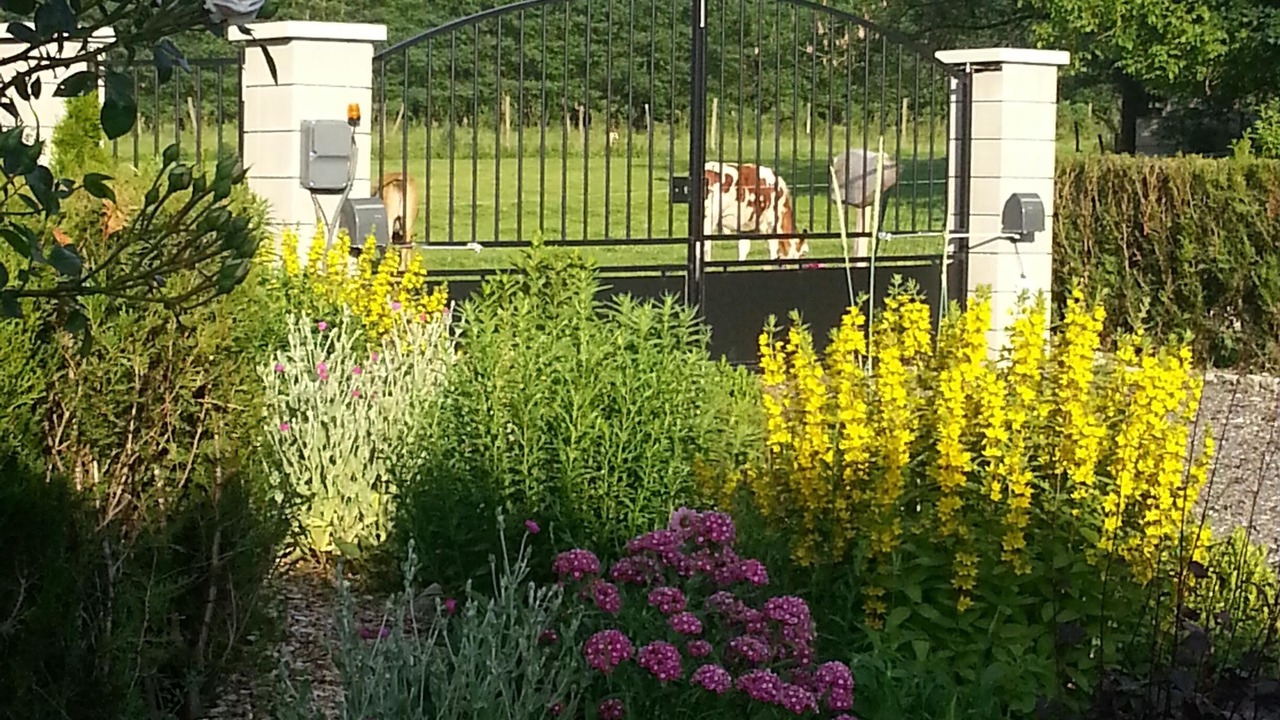 Photo of Outdoor in Sapois