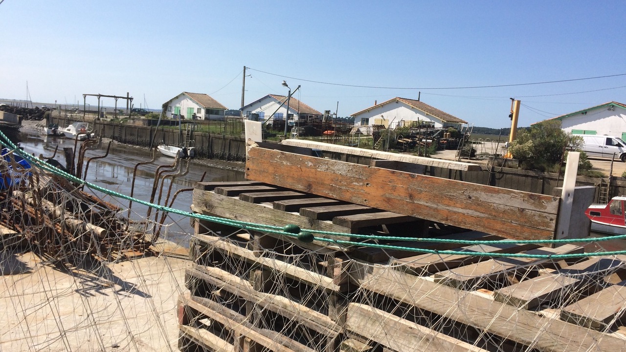 Photo of Outdoor in Lanton