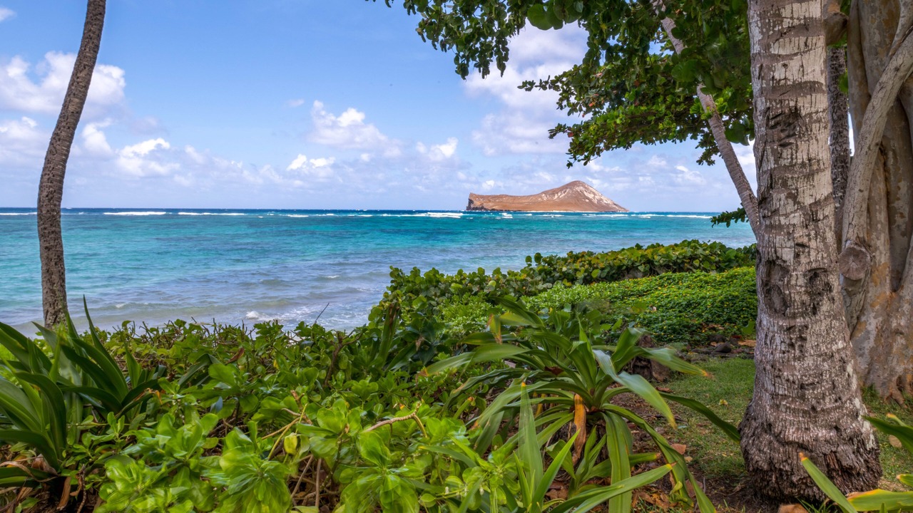 Photo of Others in Waimanalo Beach